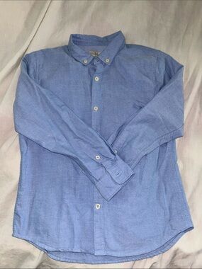 Zara Boys Light Blue Button-Down Shirt